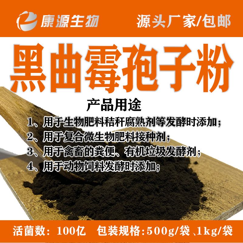 黑曲霉的黑色菌落培养物-图_医学教育网