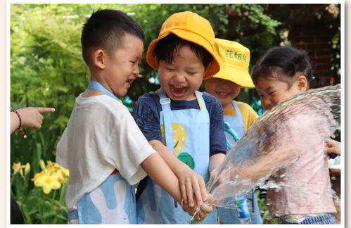 自然园艺视角下的节气教育 幼儿园里的夏至可以这样玩