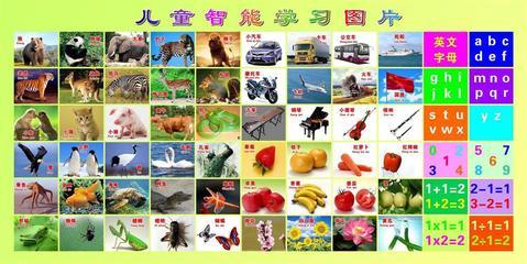 【87素材启蒙教育海报展板72儿童智能学习】价格,厂家,图片,展示架,新丰县新奇丽广告设计制作室-