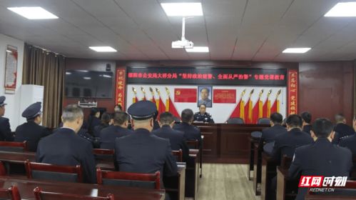 大祥公安 学习百年党史 推进教育整顿