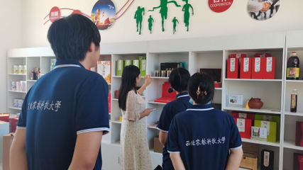 寻访富平柿饼：感受新‘柿’代匠心教育