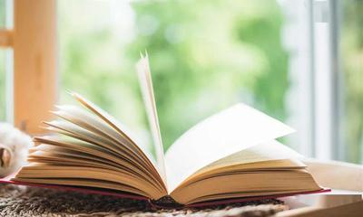 读经典书籍，做智慧教师